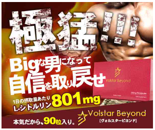 ���H���X�^�[�r�����h ���